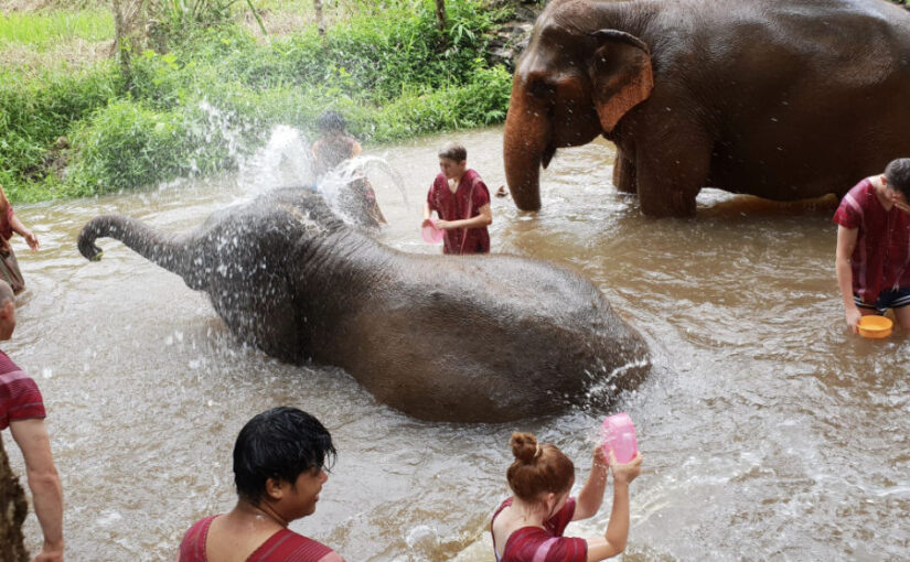 Thailand truly is the land of smiles…