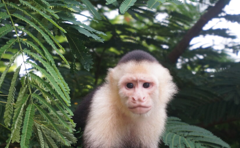 Costa Rica – August 2015