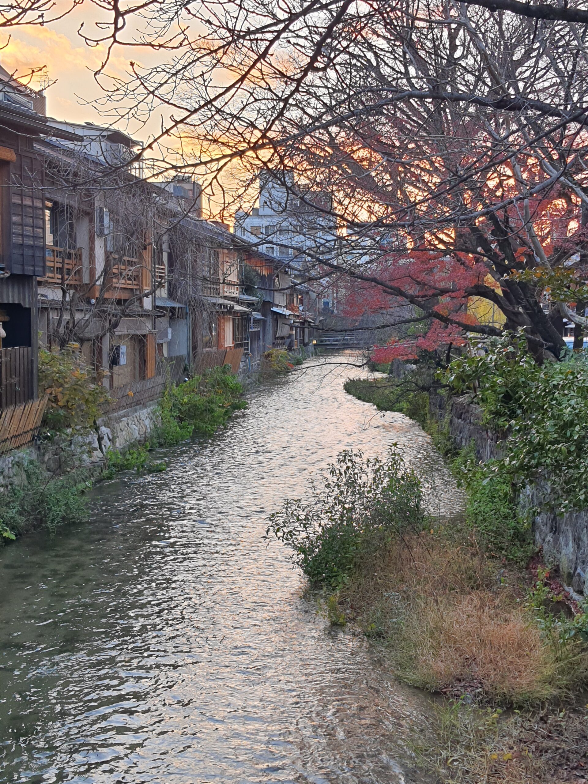 Gion District, Kyoto, Japan
